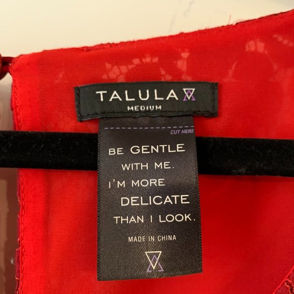 Aritzia Talula Red Short Sleeve Lace Mini Dress - Picture 4 of 4